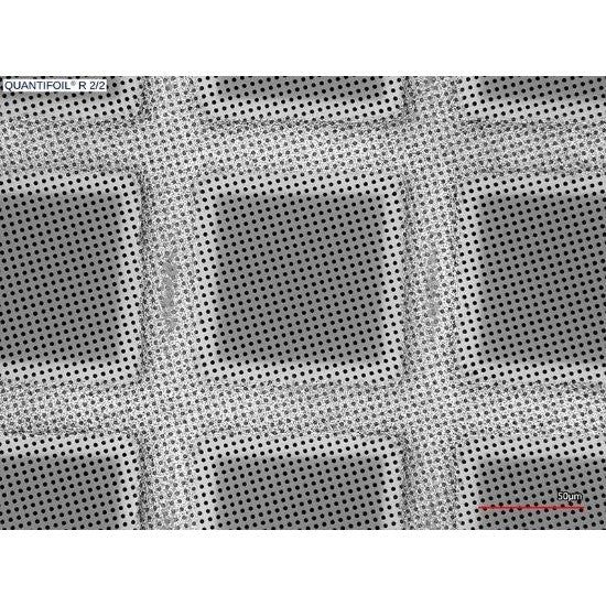 Quantifoil R 2/2 holey carbon film coated grids