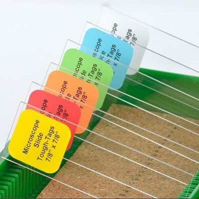 LM - Slide labels