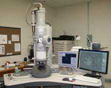 EM Electron Microscopy