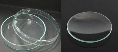 LAB Petri Dishes and Watch Glass