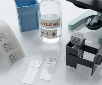 Histology work station with a bottle of Xylene, slide staining containers, and microscope slides with xylene resistent labels. 