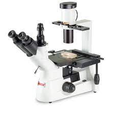 LM Inverted Microscopes