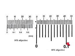 LM Calibration and Resolution