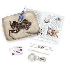 an animal dissection kit