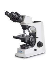 LM Compound Microscopes