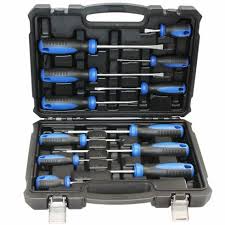 a case holding a set of screwdrivers.