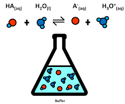 CHEM Buffers