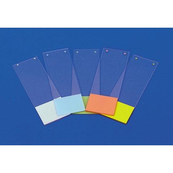 Superfrost Plus adhesion microscope slides, RNAse-free (EMS)