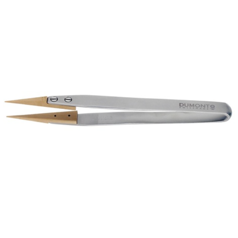 Dumont replaceable Buxus tip tweezers, WA1 handle (EMS)