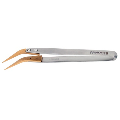 Dumont replaceable Buxus tip tweezers, WA1 handle (EMS)