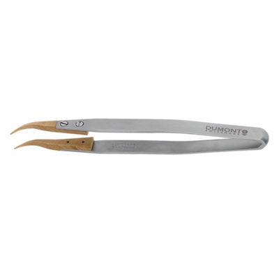 Dumont replaceable Buxus tip tweezers, WA1 handle (EMS)