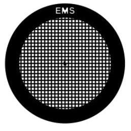 EMS carbon coated grids, square mesh