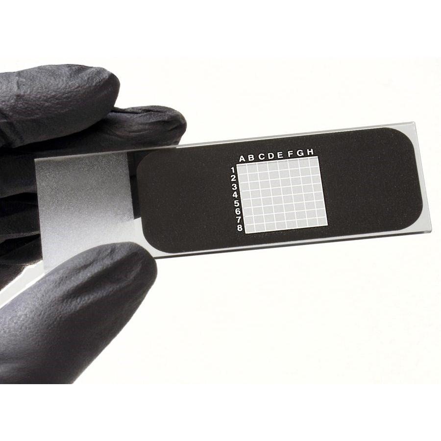 Printed microscope slides, grid indexed – ProSciTech