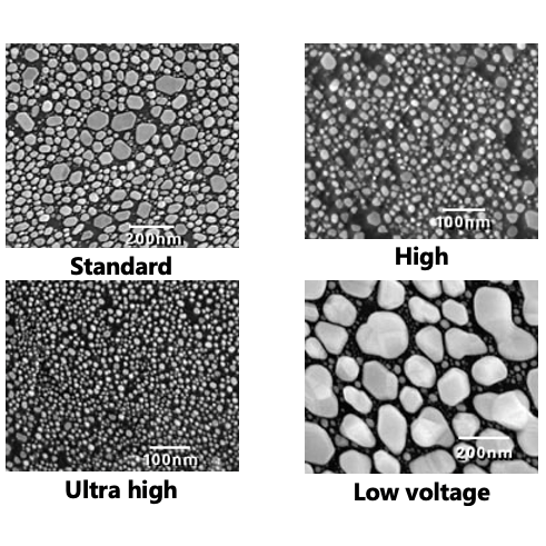 SEM resolution test standards, gold on carbon