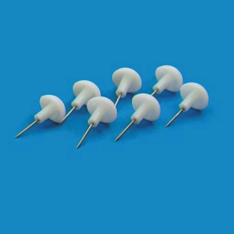 Disposable dissection board and pins