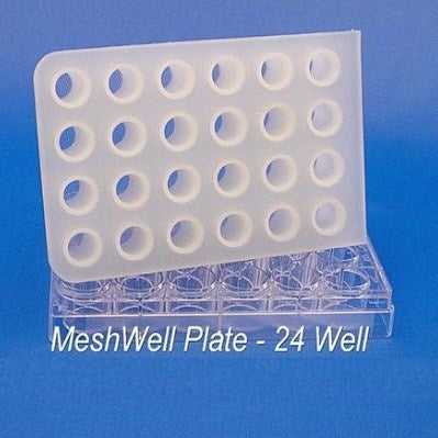 MeshWell well plates and cluster trays