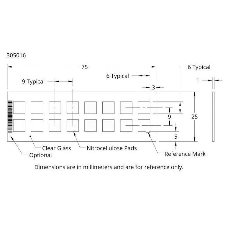 ONCYTE NOVA NC film microscope microscope slides
