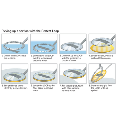 Light microscopy perfect loop set