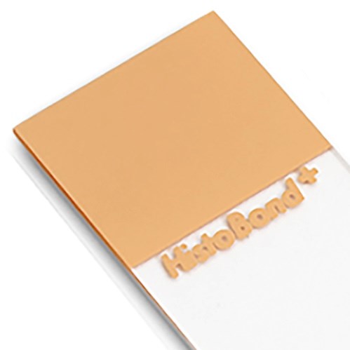 HistoBond retriever tissue slides