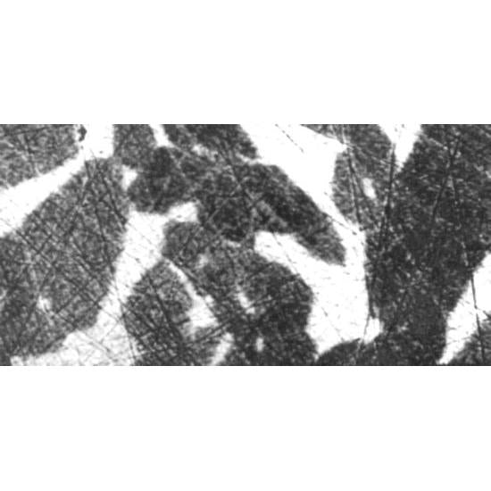 Duplex reference specimen