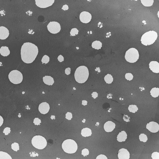 Astigmatism holey carbon support film coated grid