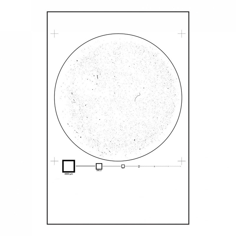 DCI20 stage micrometer, cleanliness assessment calibration and reference slide