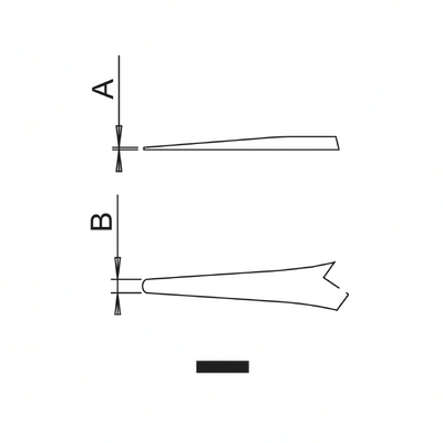 Dumont ergonomic tweezers style 2A ESD (EMS)