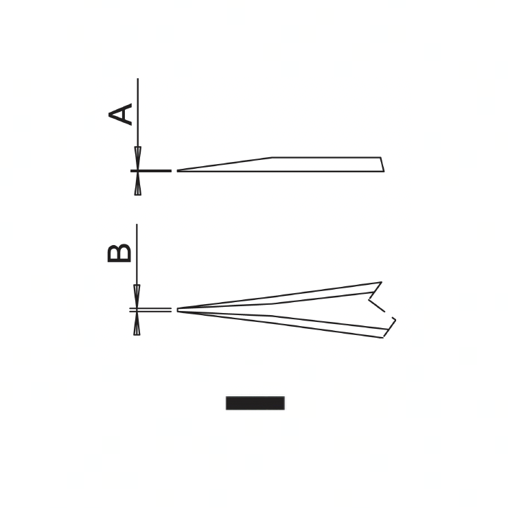 Dumont ergonomic tweezers style 2 ESD (EMS)