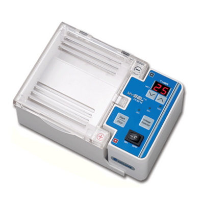 LM Light Microscopy