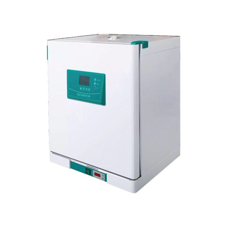 Economy convection incubators with internal glass door, +70C