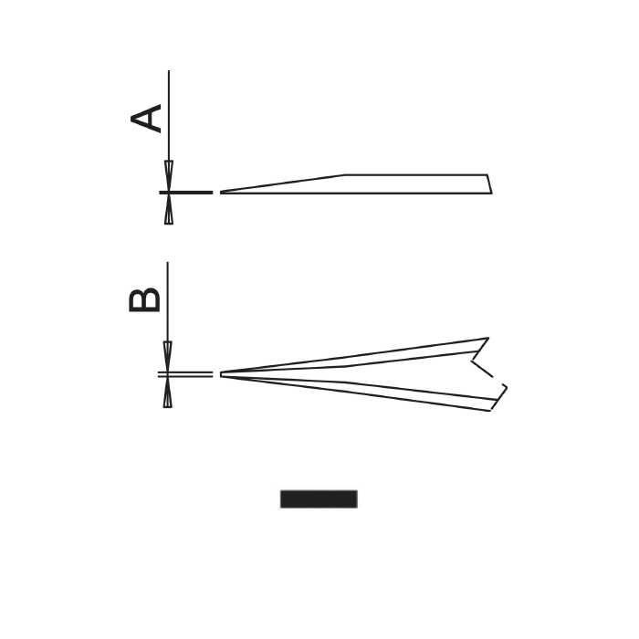 Dumont tweezers style 2 (EMS)