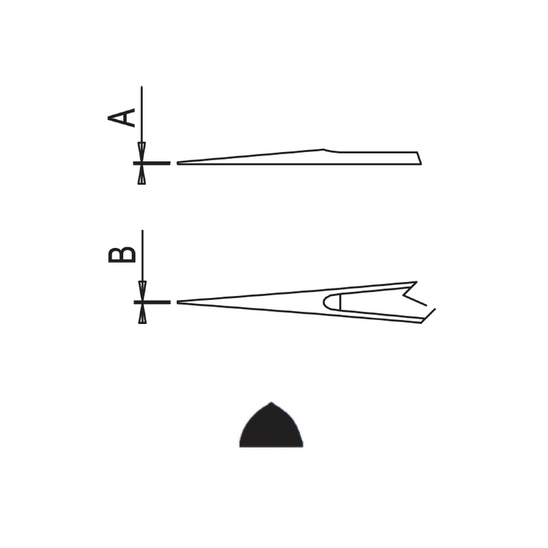 Dumont tweezers style 55 (EMS)