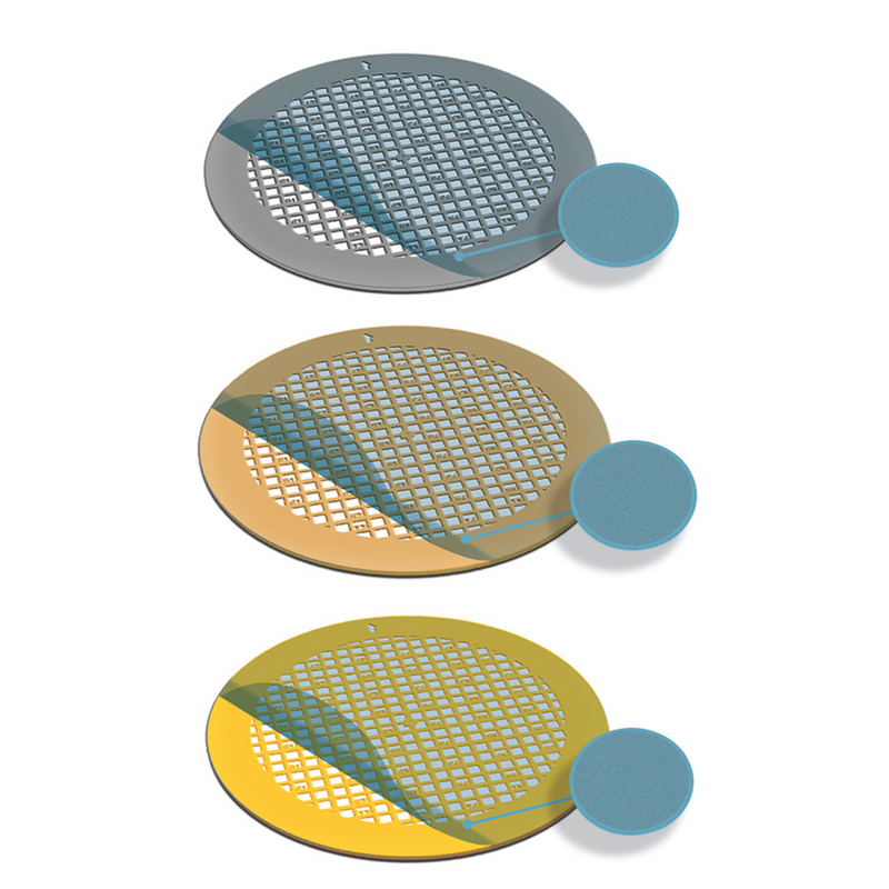 Gilder finder grids, formvar coated