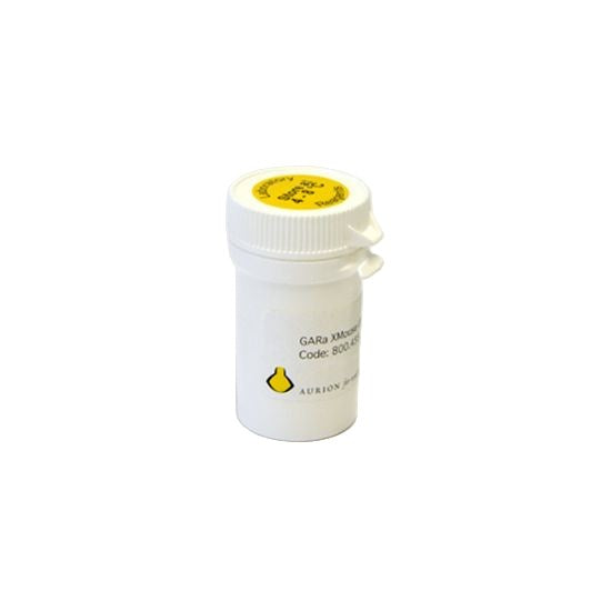 Goat anti-rat IgG (H+L) cross mouse