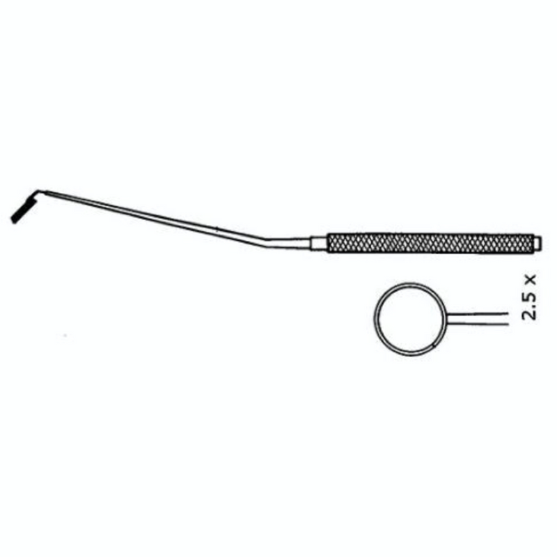 Extended reach micro ruler and mirror