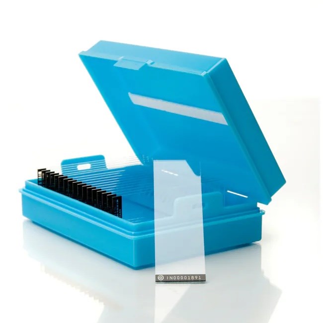 Aminopropylsilane (APS) coated slides