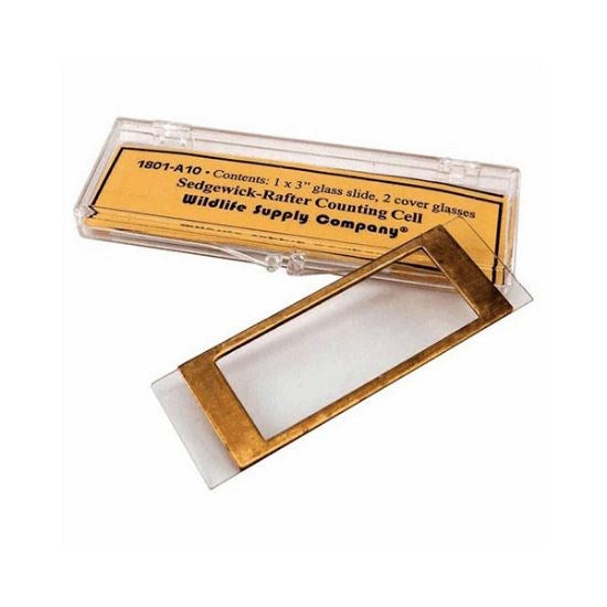 Sedgewick-Rafter counting chambers (EMS)