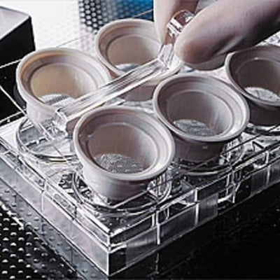 NetWell tissue processing well sets
