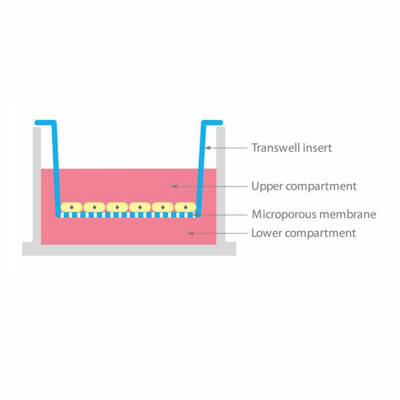 NetWell tissue processing well sets