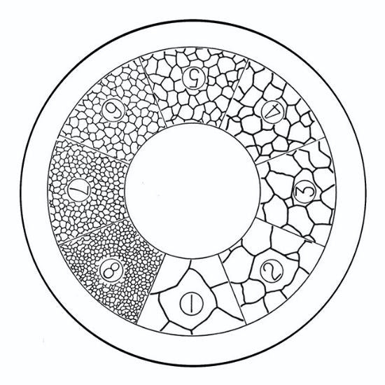 G41 eyepiece reticles, metallurgical (EMS)