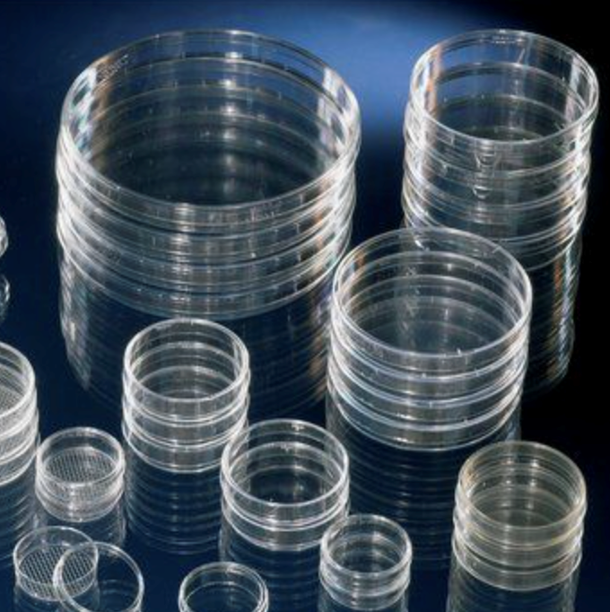 Permanox petri dishes
