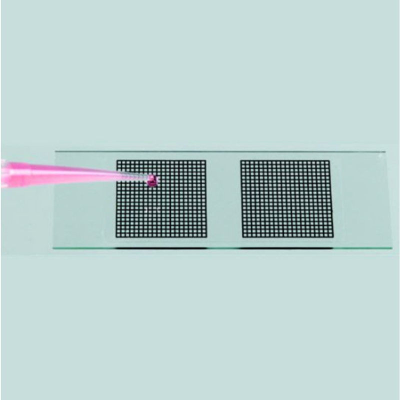 Adhesive grids for slides, 20 x 20mm