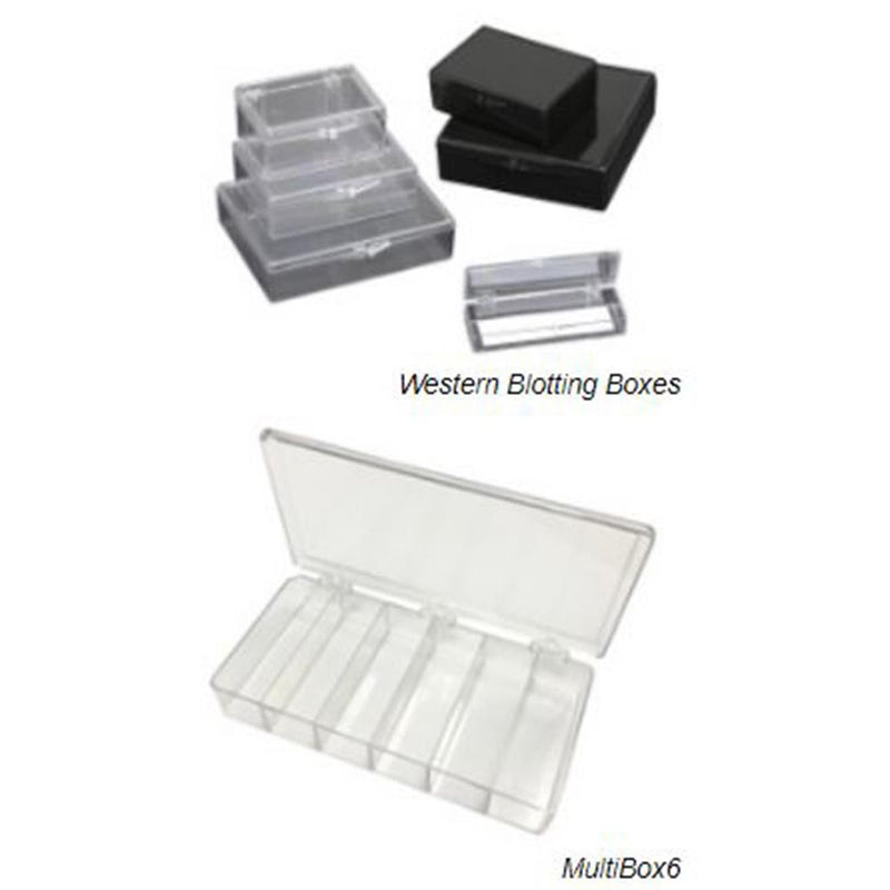 Western blotting boxes