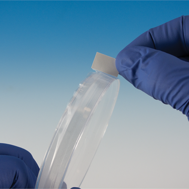 Breathe-Easy sealing strips for petri dishes
