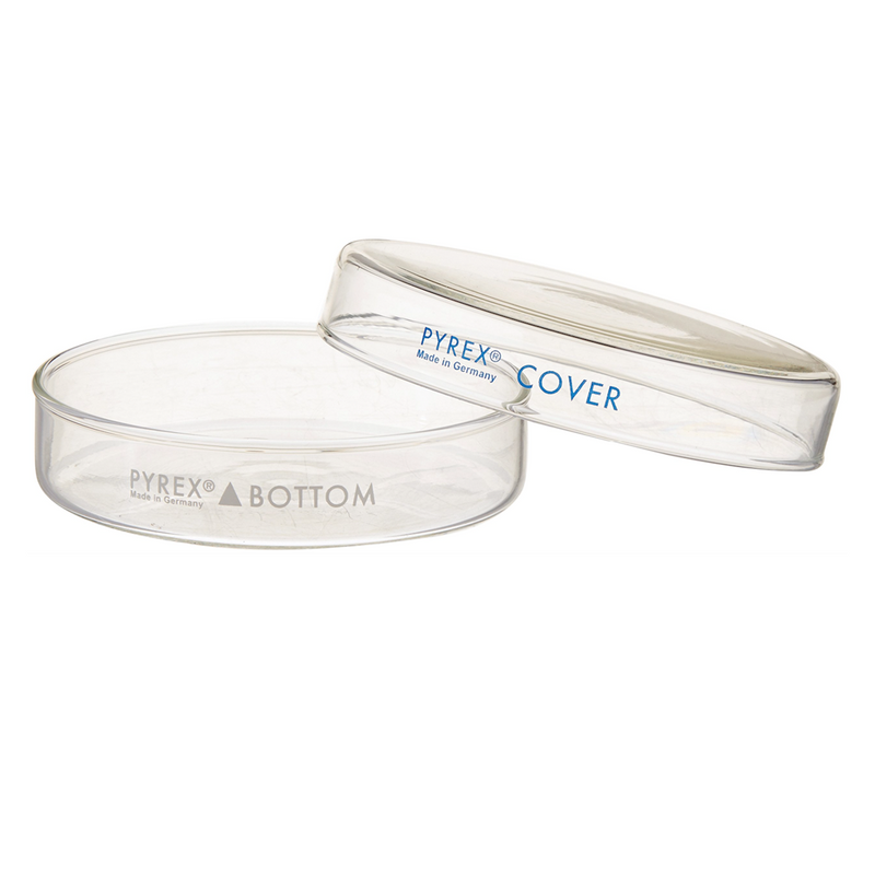 Pyrex glass Petri dishes