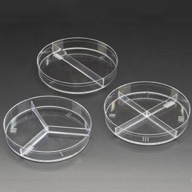 Petri dishes with divisions, PS