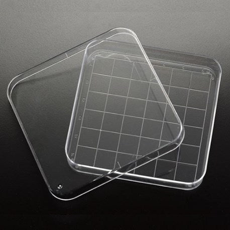 Square petri dishes, PS (EMS)