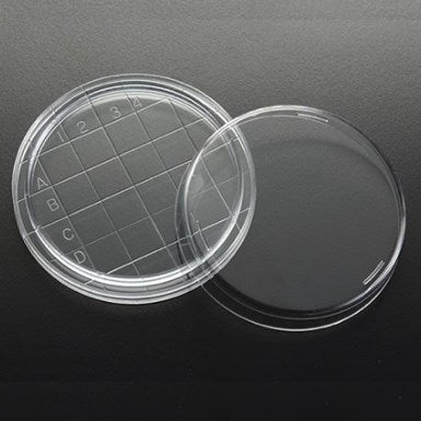 Gridded petri dishes, PS