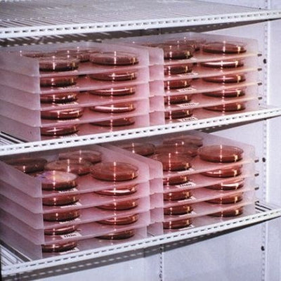 Petri dish incubation tray, PP