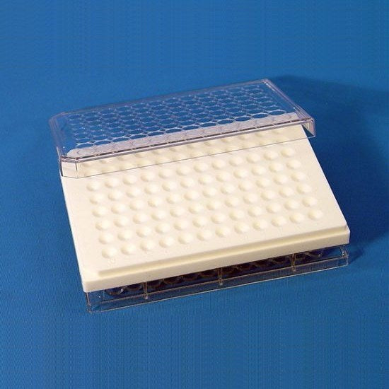 EMS grid staining plate